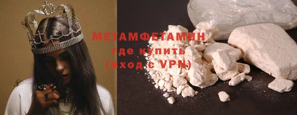 спиды Богданович
