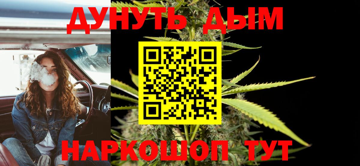 Канабис SATIVA & INDICA Можга
